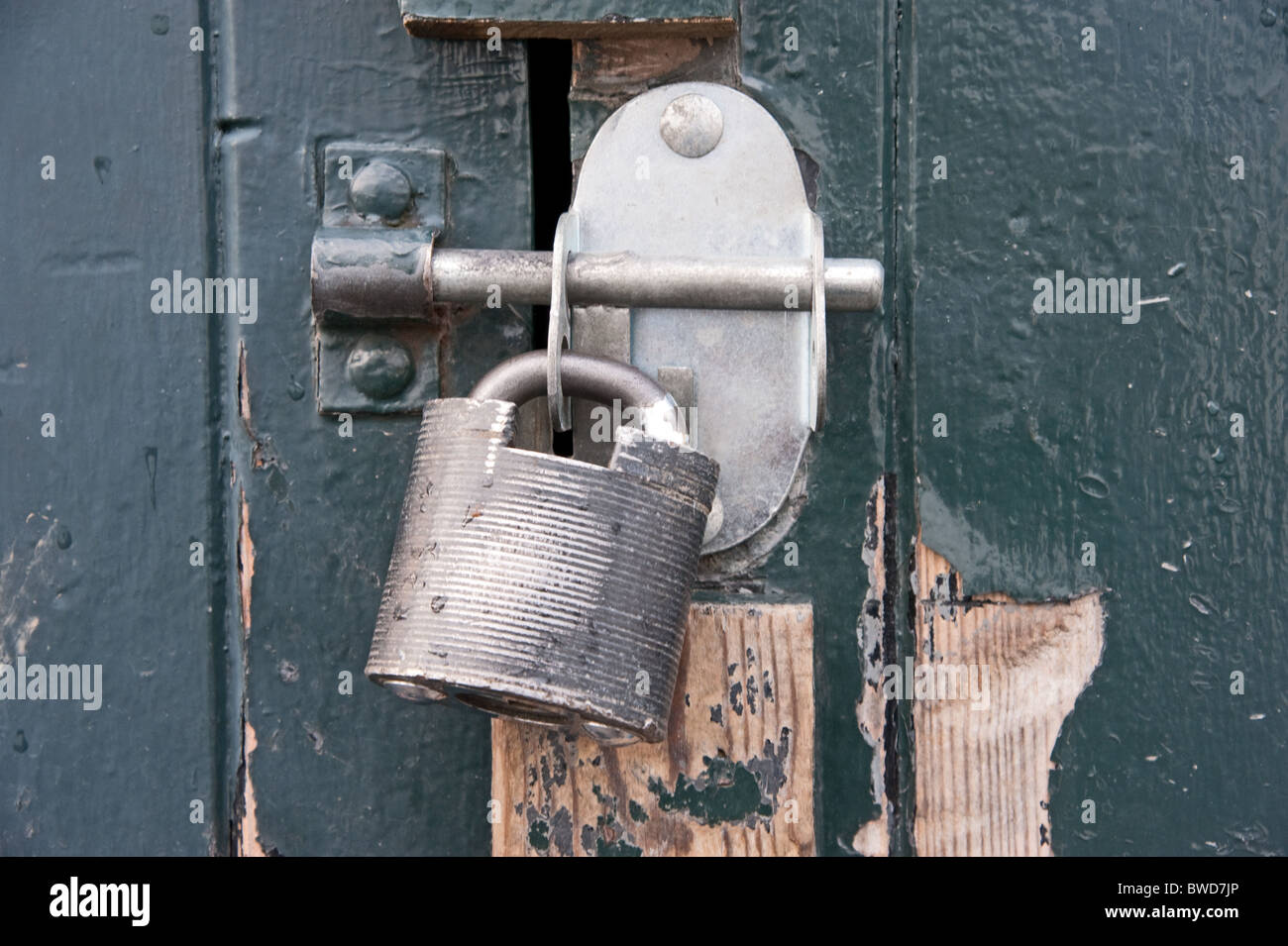 Modern steel padlock securing a bolt on a blue/grey painted wooden door