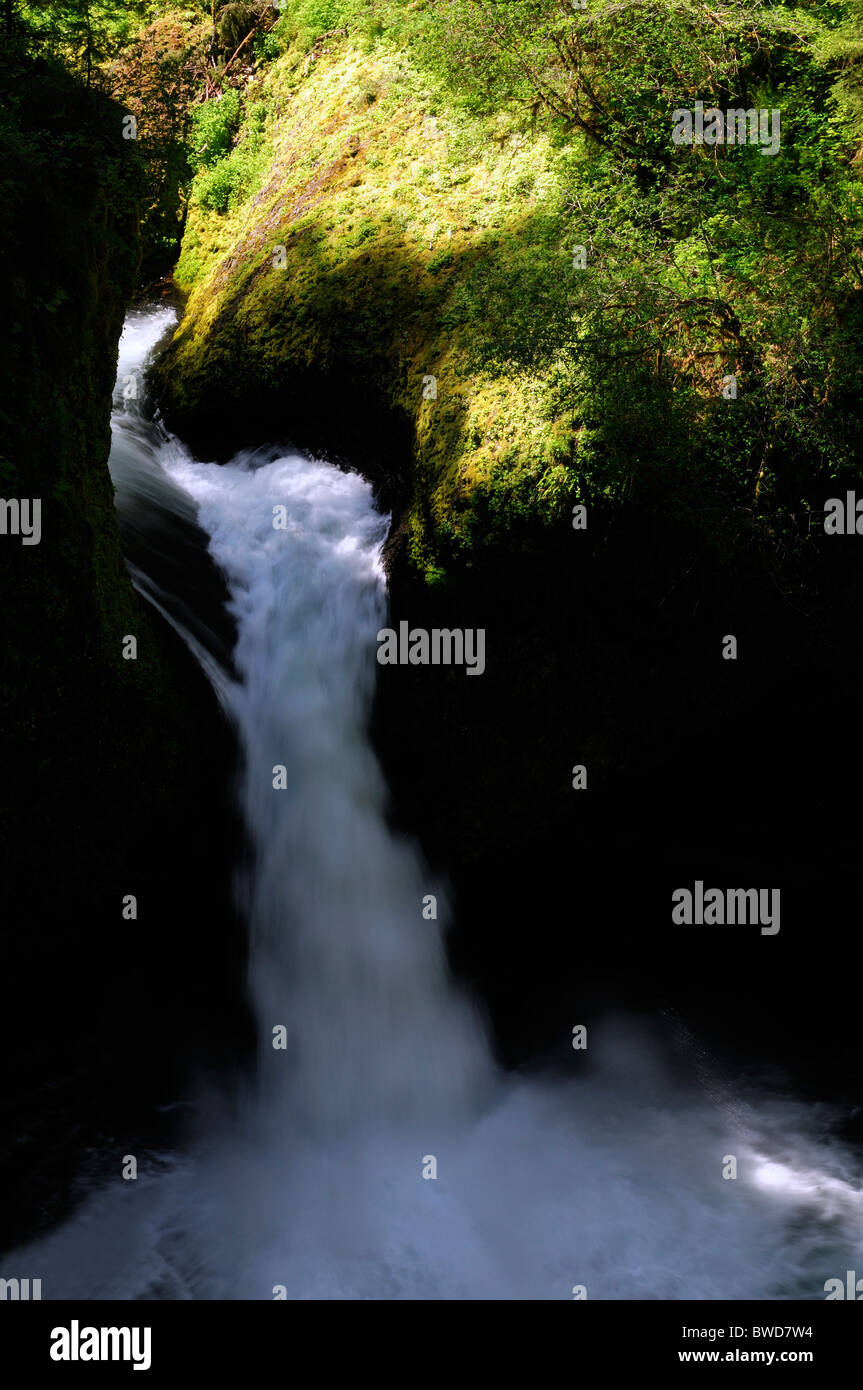 Punchbowl falls Silver Falls State - Punchbowl Falls Silver Falls State Park Oregon Usa Trail Of Ten Falls BWD7W4 