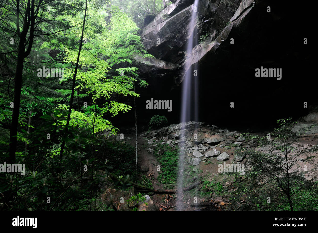 Historic Yahoo Falls Muscogee Yahoo waterfall Daniel Boone National