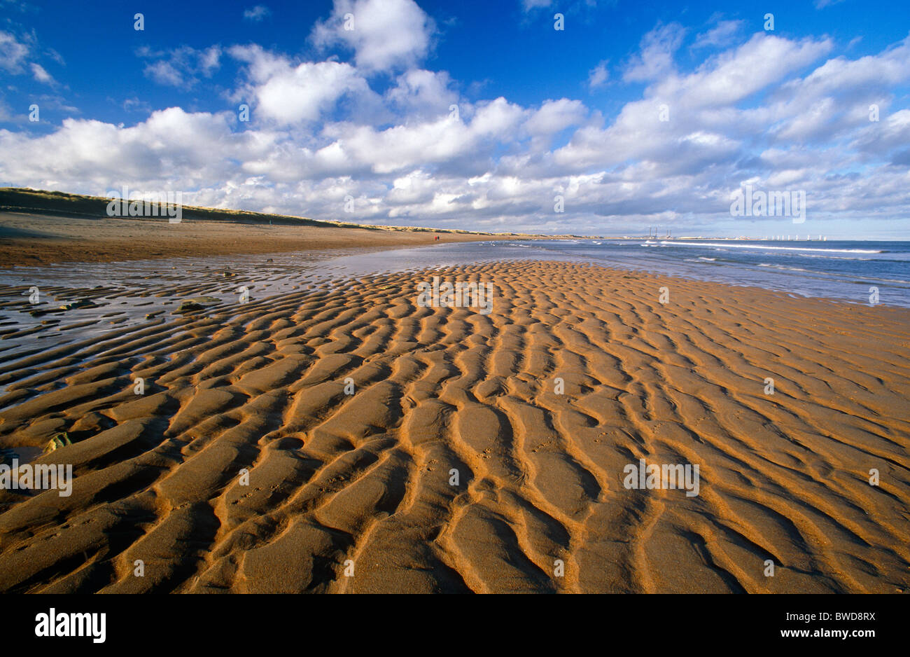 A daytime view looking along Seaton Sluice beach near Blyth, Northumberland Stock Photo
