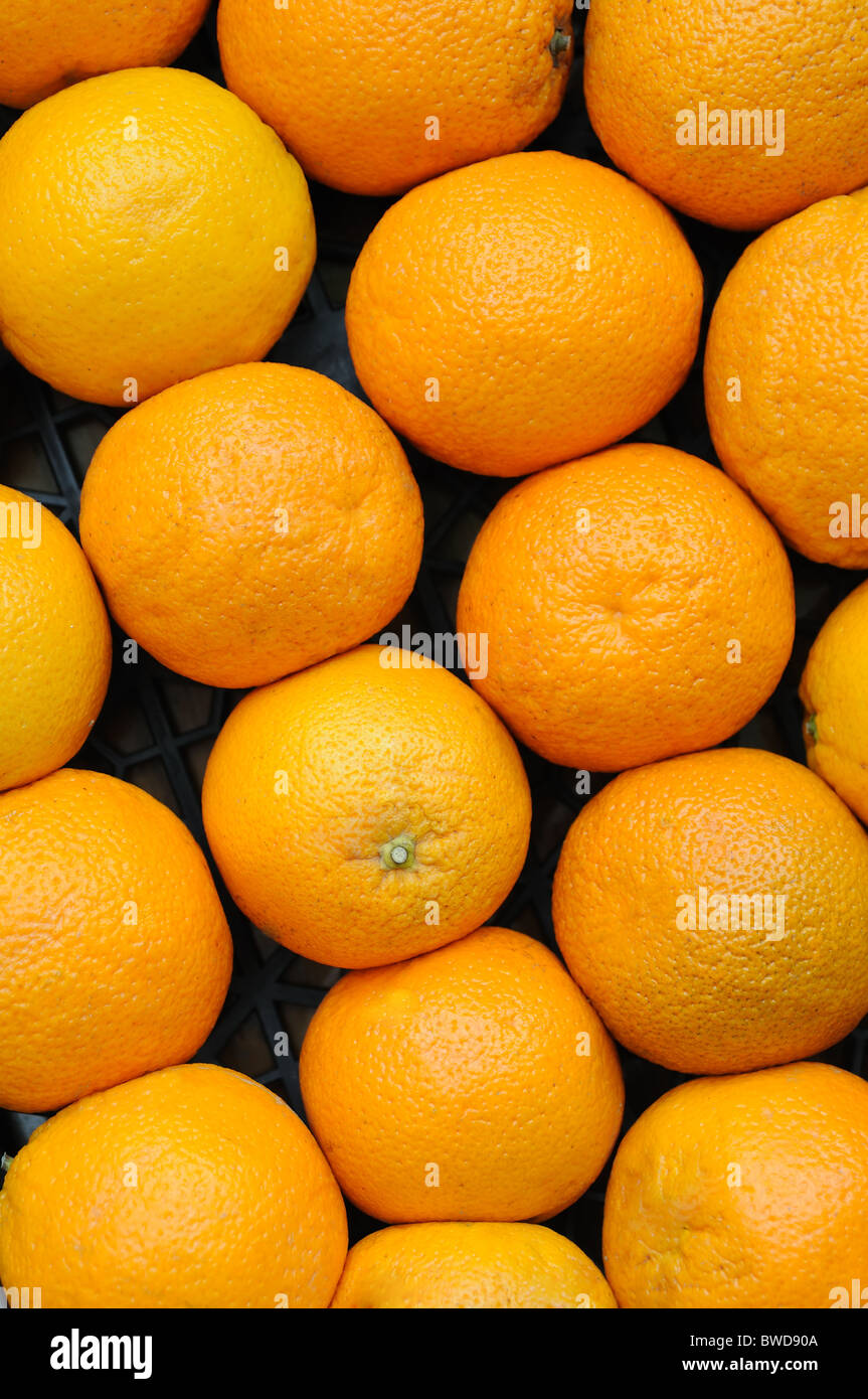 Fresh oranges on the market placed in box Stock Photo - Alamy