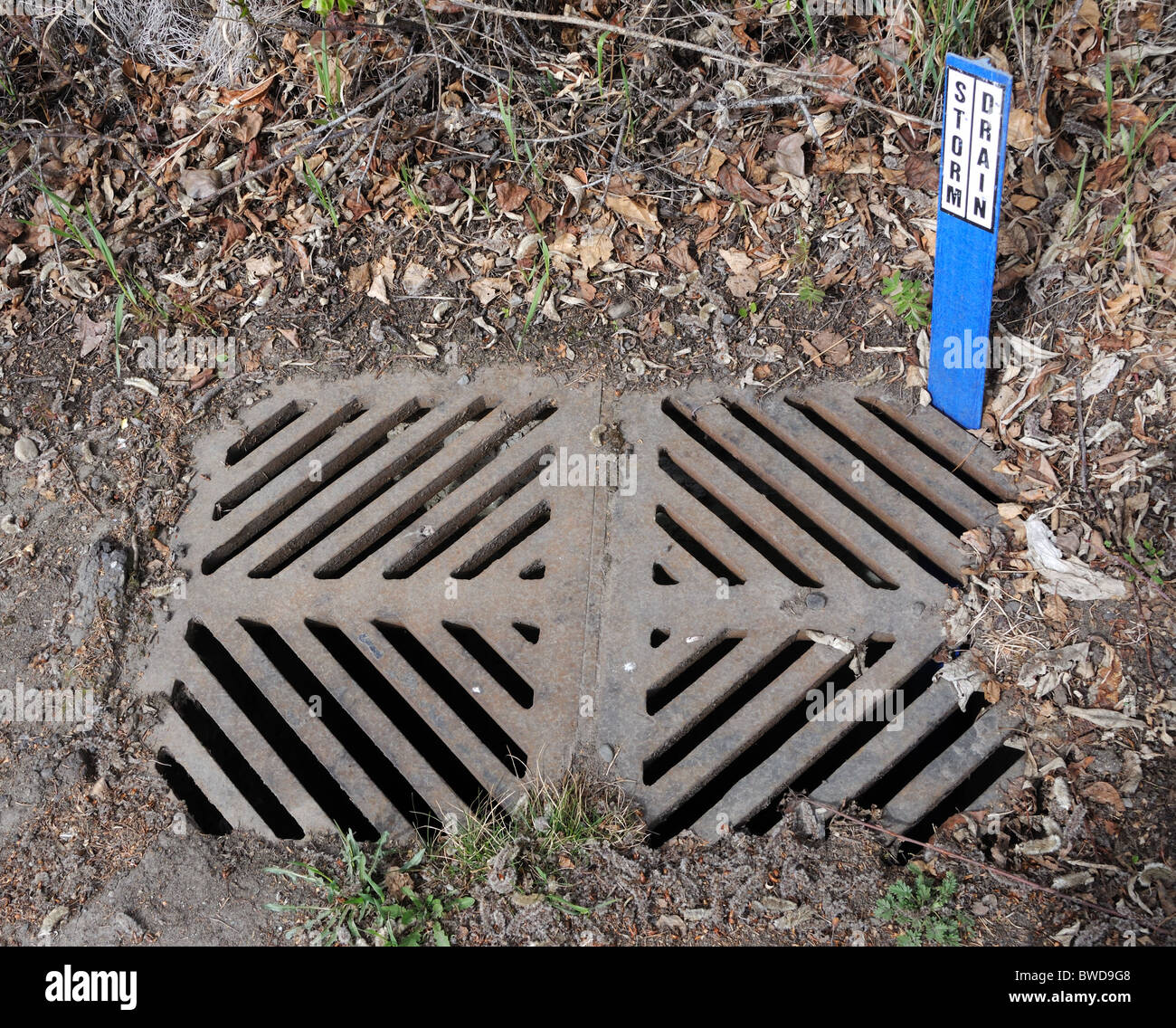 Dirty Storm Drain with Sign Stock Photo