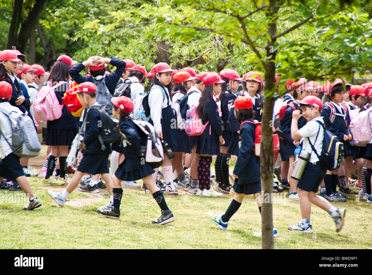 A group of Japanese school children on an outing / field trip in Wakayama Stock Photo