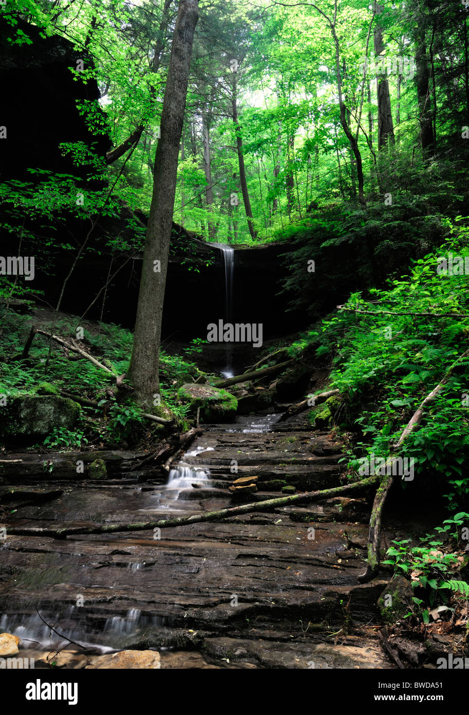 Lick fork falls 2