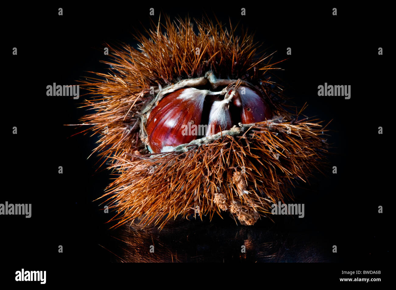 Hairy fruit hi-res stock photography and images - Alamy