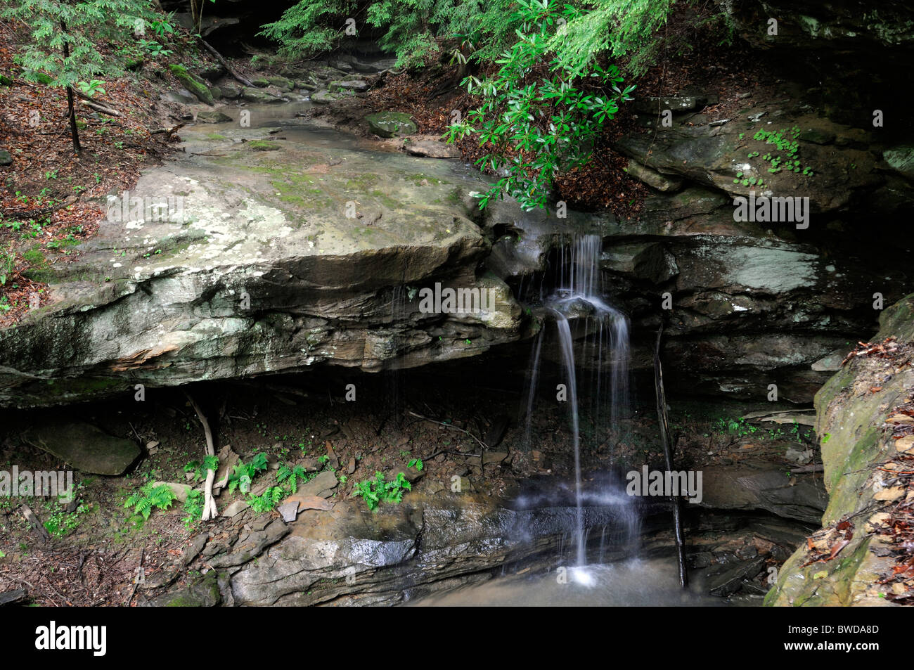 Unnamed Transient Falls Waterfall Grayson Lake State Park Kentucky