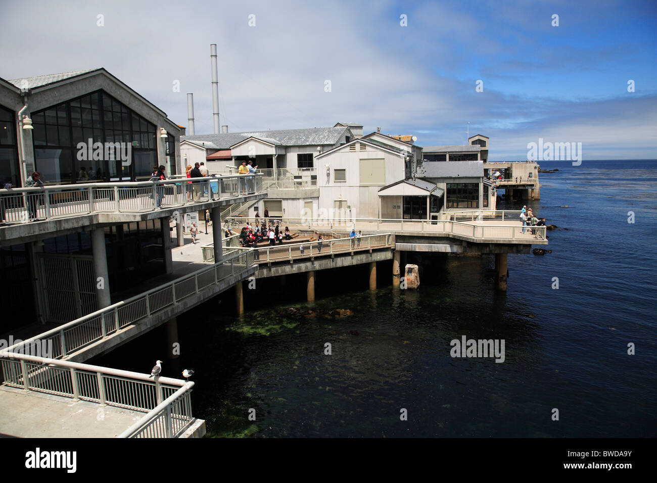 Monterey Bay Aquarium, Monterey Bay California Stock Photo Alamy