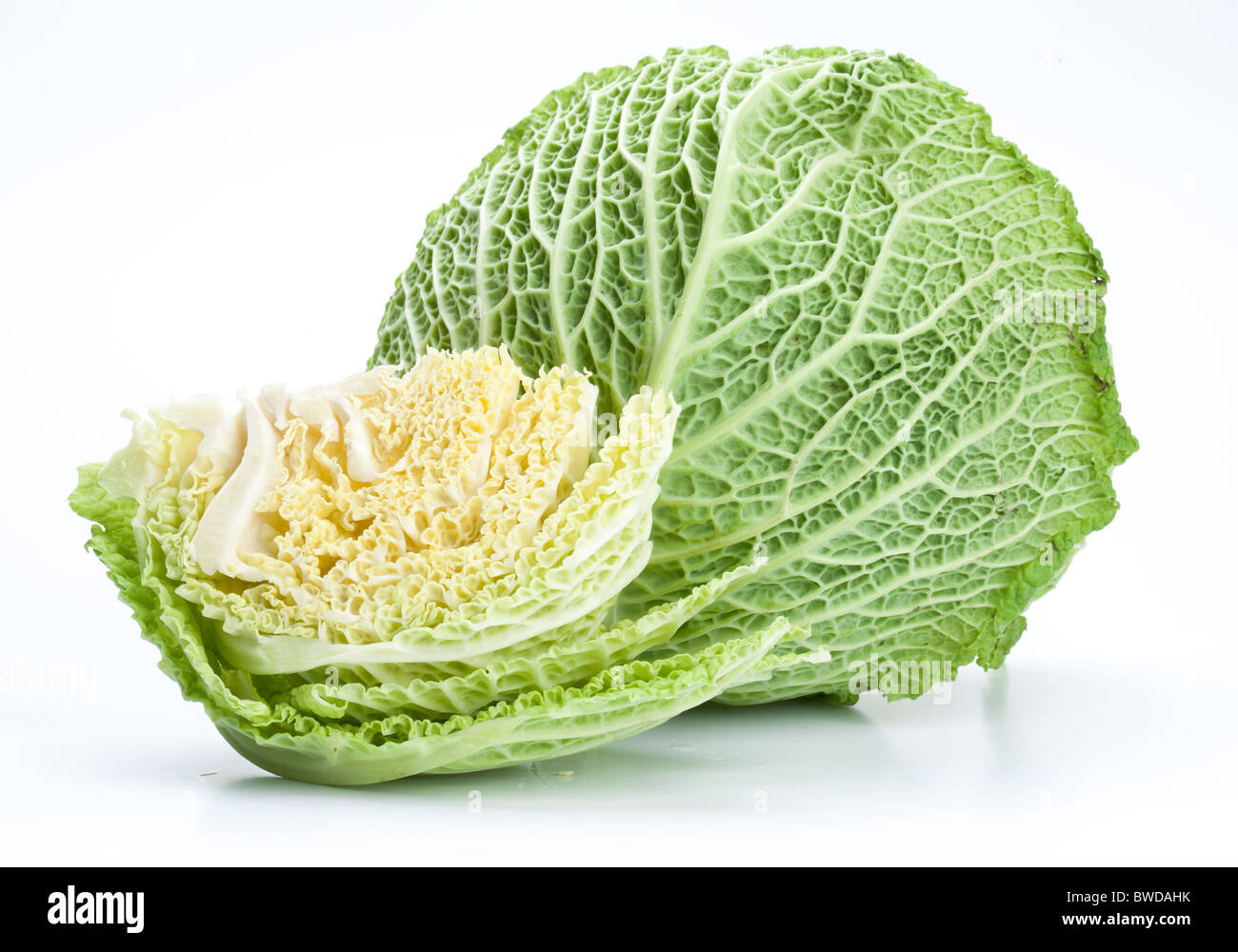 Photo of fresh cabbage on a white background Stock Photo