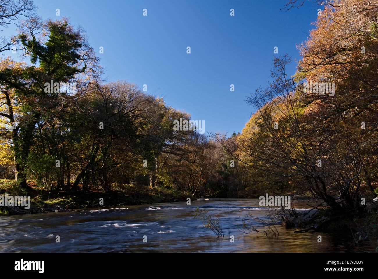 River Dart above Newbridge Stock Photo Alamy