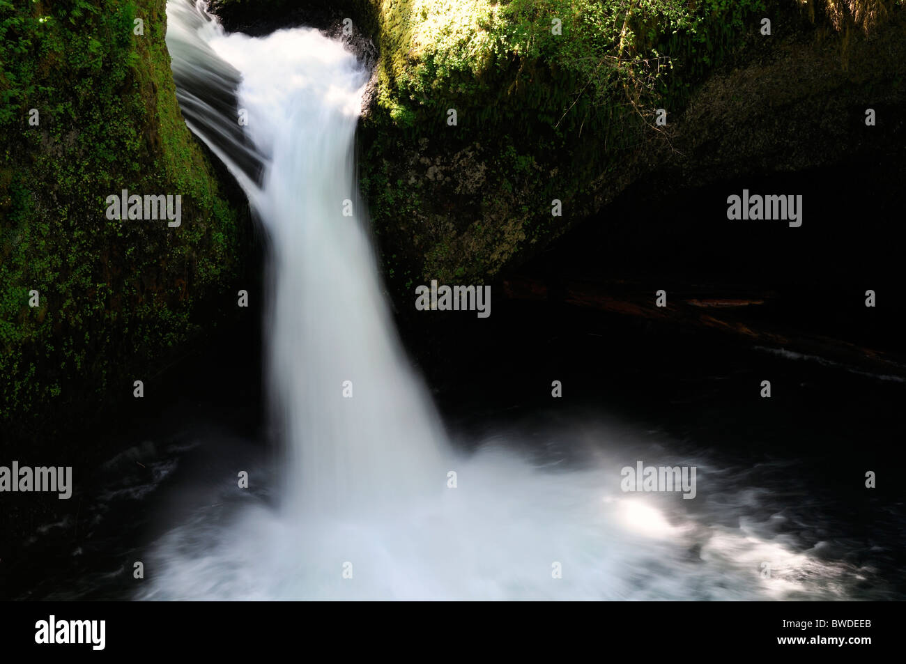 Punchbowl falls Silver Falls State - Punchbowl Falls Silver Falls State Park Oregon Usa Trail Of Ten Falls BWDEEB 