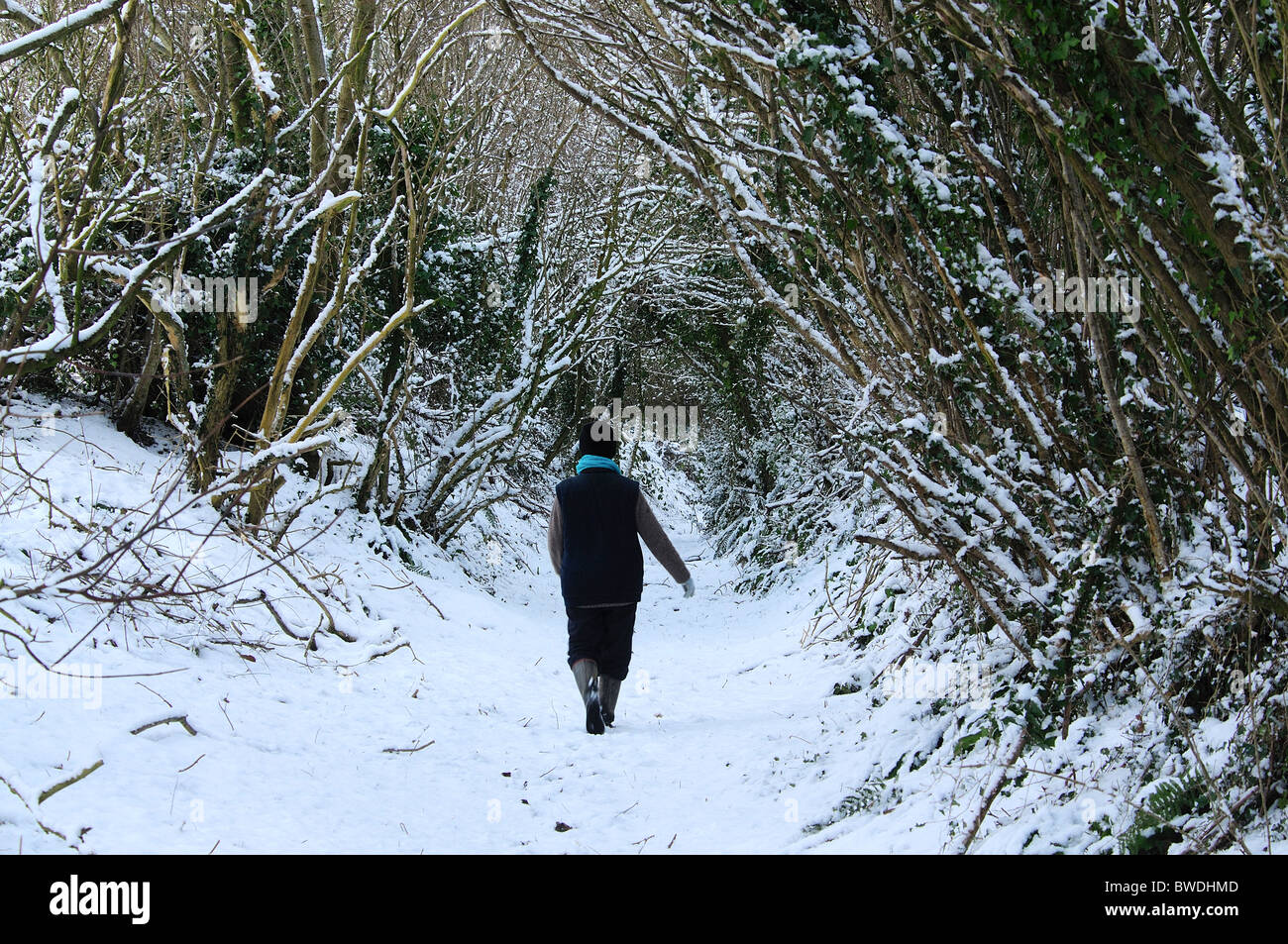 Woman walking snow lane winter hi-res stock photography and images - Alamy