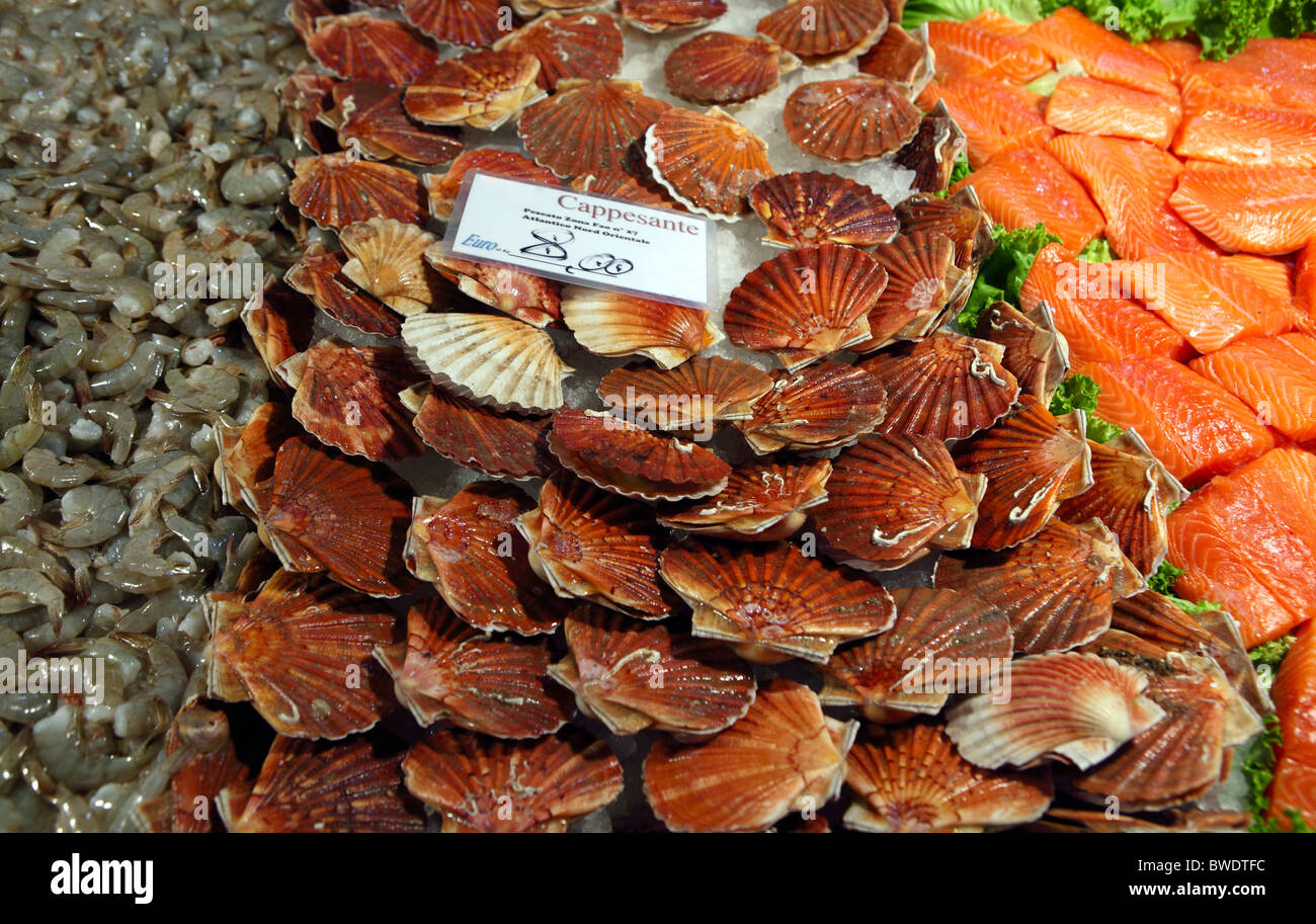 A fishmonger's display of scallops, salmon and prawns at the Rialto Market in Venice, Italy. Stock Photo