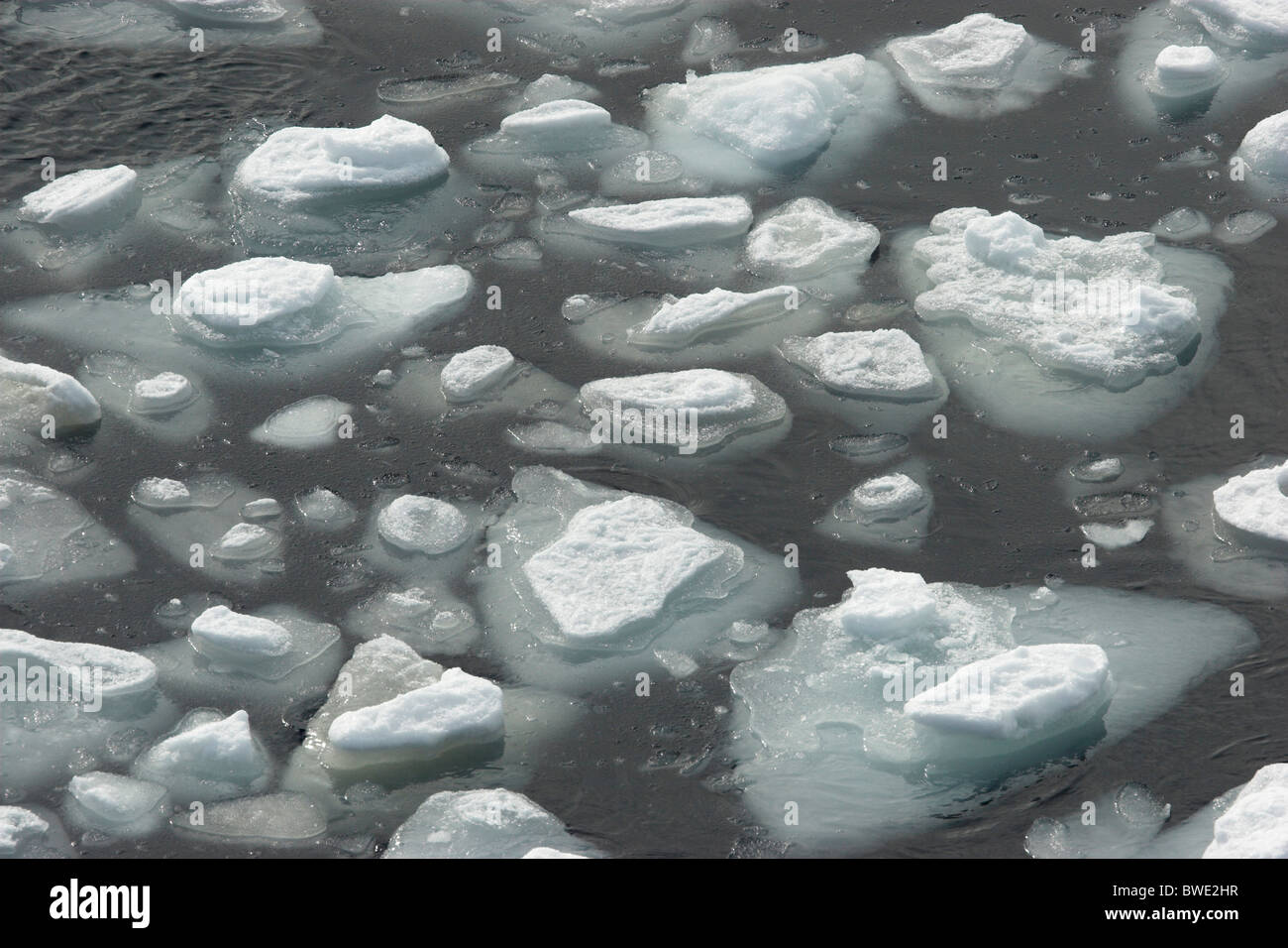 Sea-ice bergy bits & growlers Erebus and Terror Gulf Antarctic ...