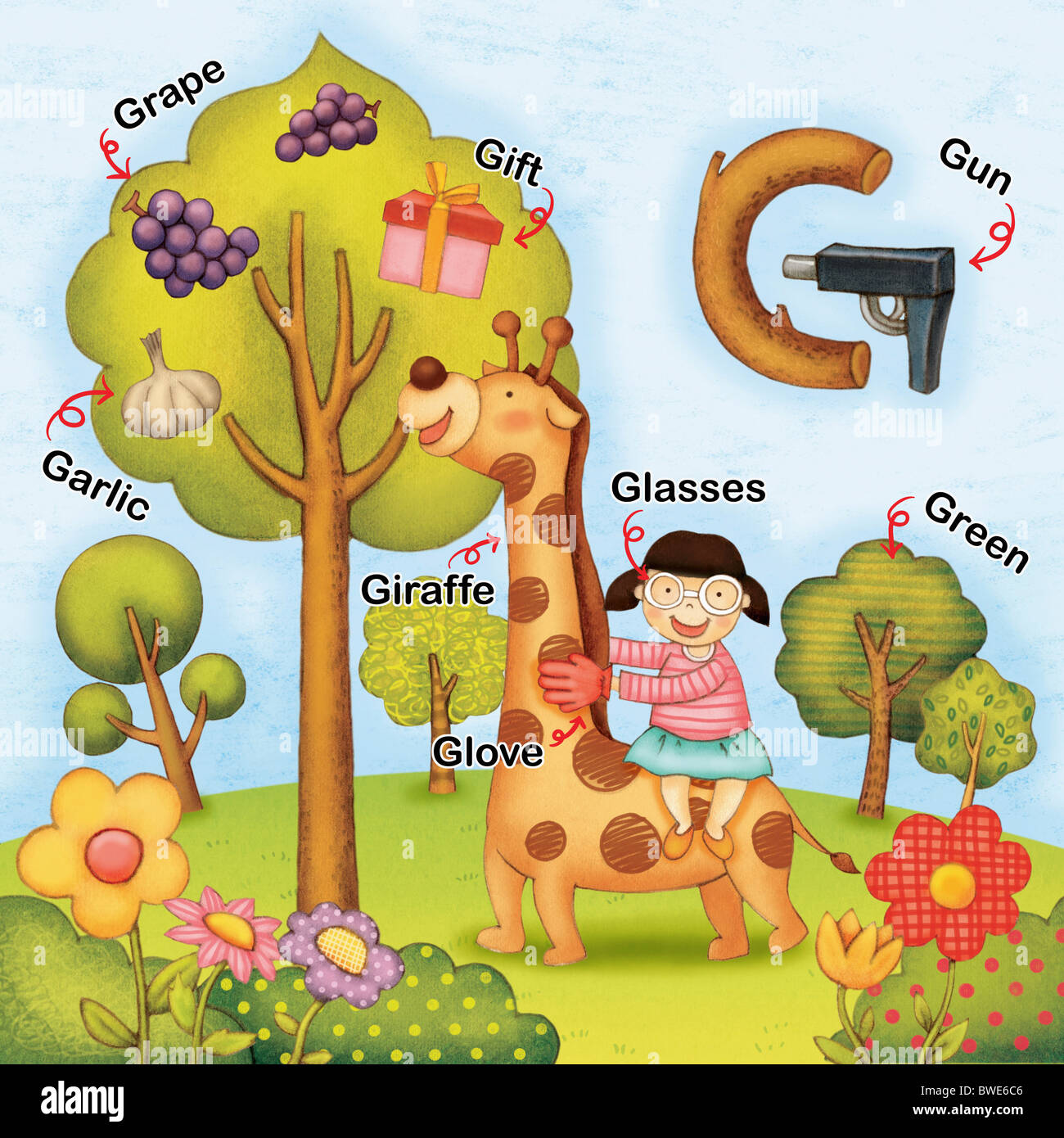 alphabet G study with illustration and words Stock Photo