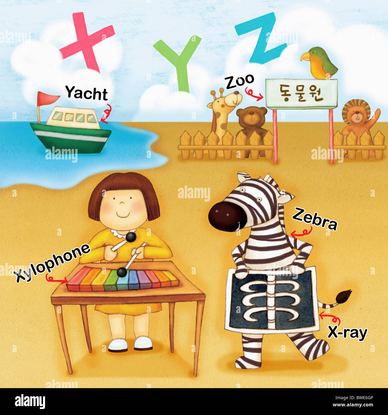 Alphabet X Study With Illustration And Words Stock Photo Alamy
