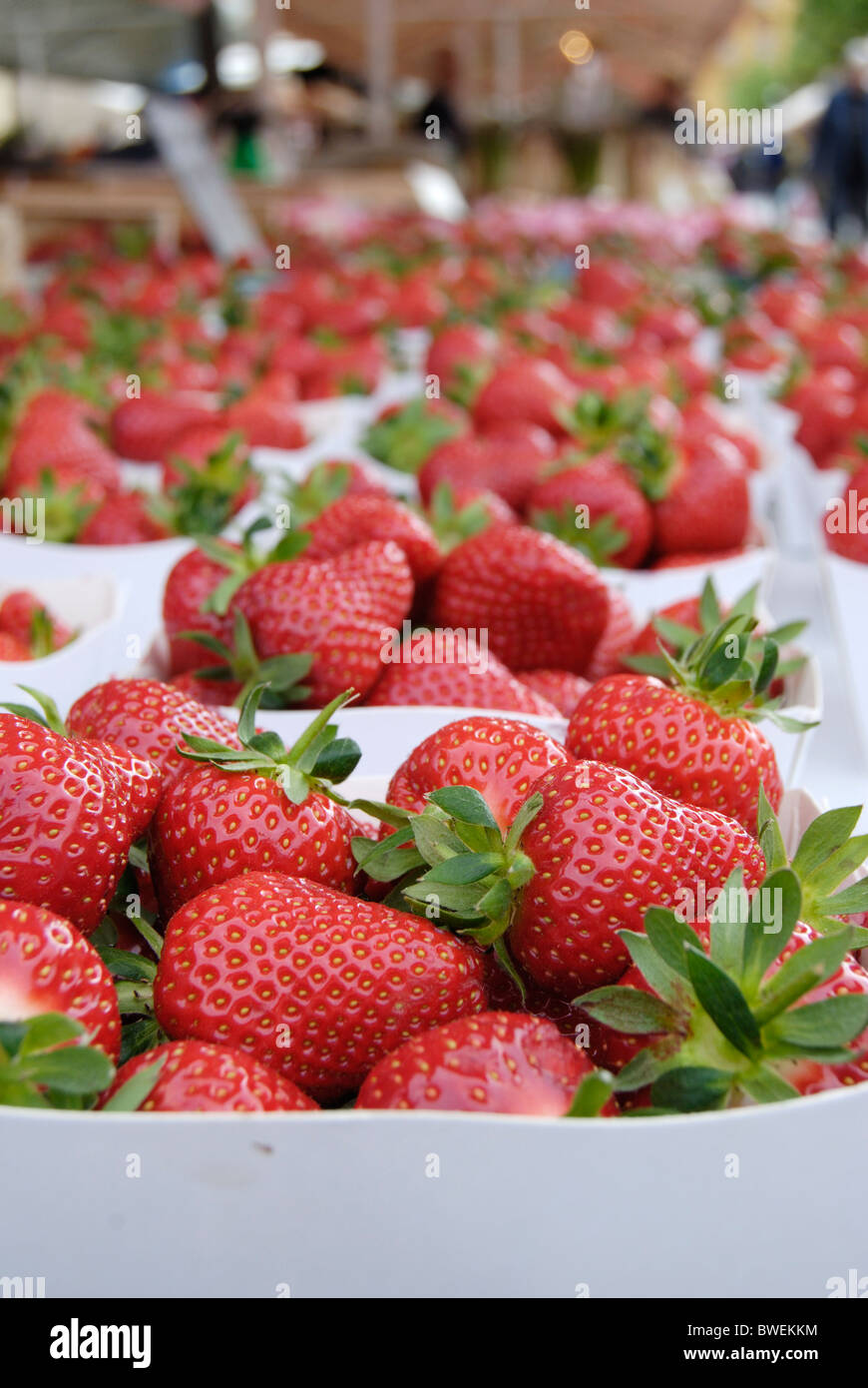 of Strawberries for sale on market stall in Nice. Cote d'Azur