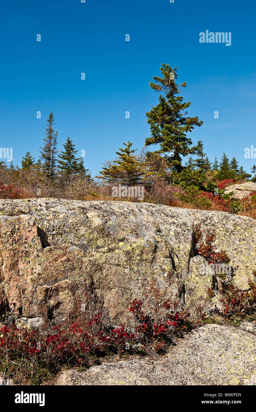 Acadia landscape, Acadia NP, Maine, USA Stock Photo