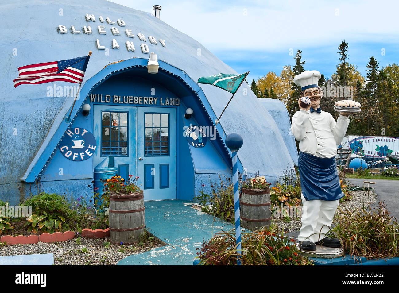 Maine wild blueberry land hires stock photography and images Alamy