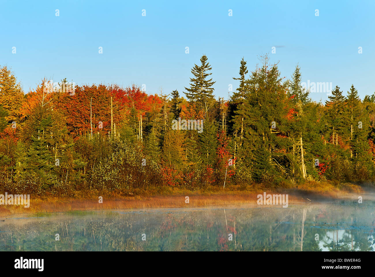 Landscape, Maine, USA Stock Photo