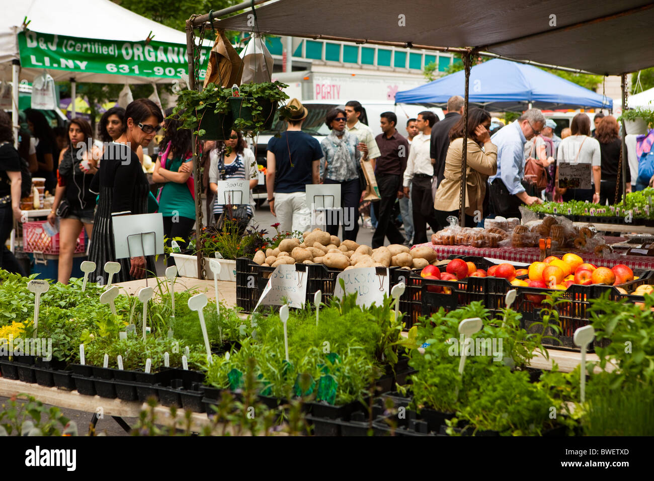 https://c8.alamy.com/comp/BWETXD/union-square-farmers-market-new-york-usa-BWETXD.jpg