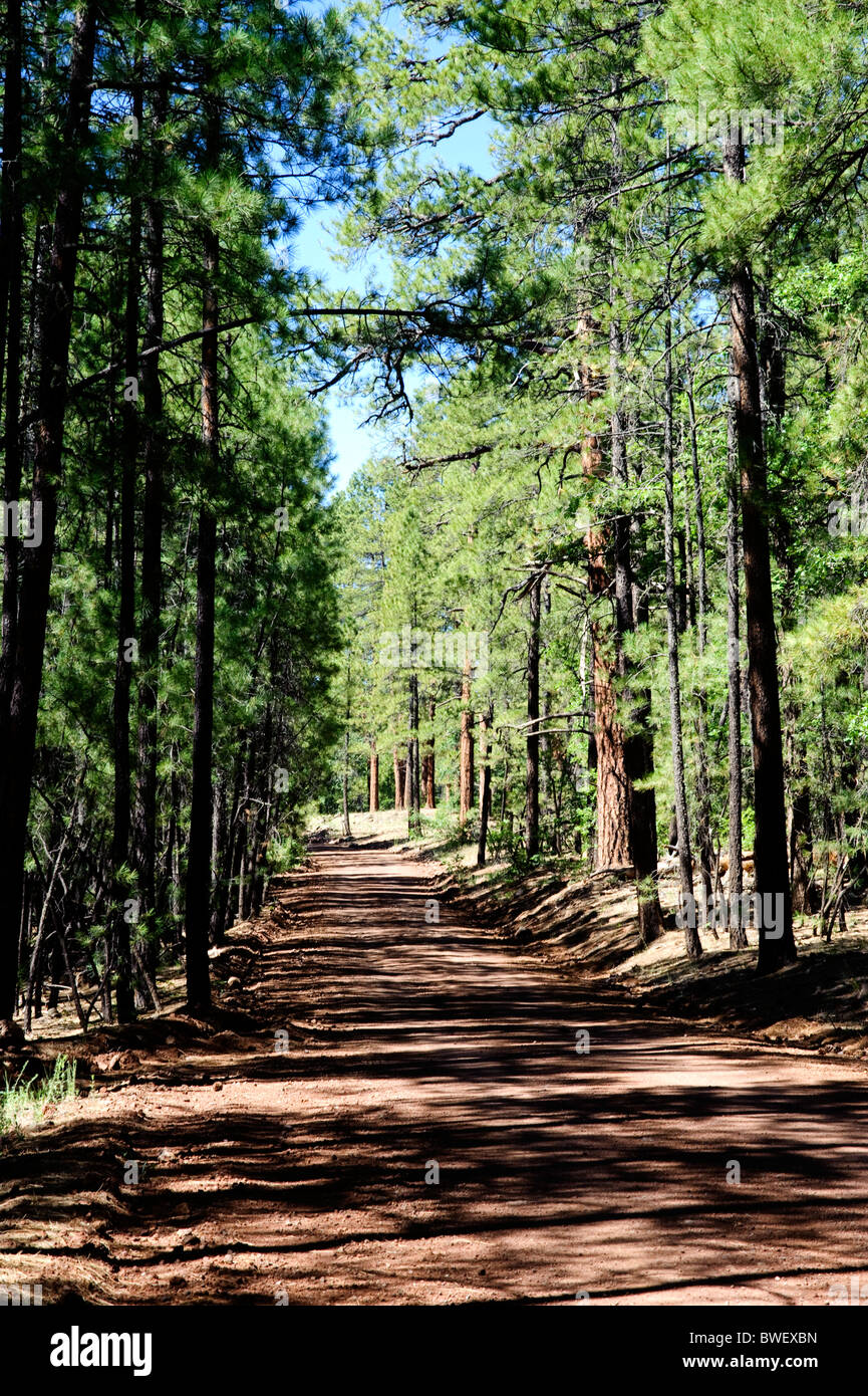 Road from flagstaff sedona hires stock photography and images Alamy