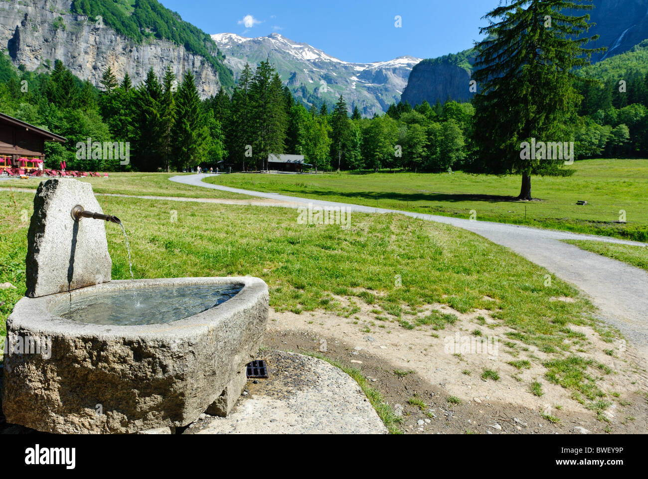 Springlet High Resolution Stock Photography and Images - Alamy