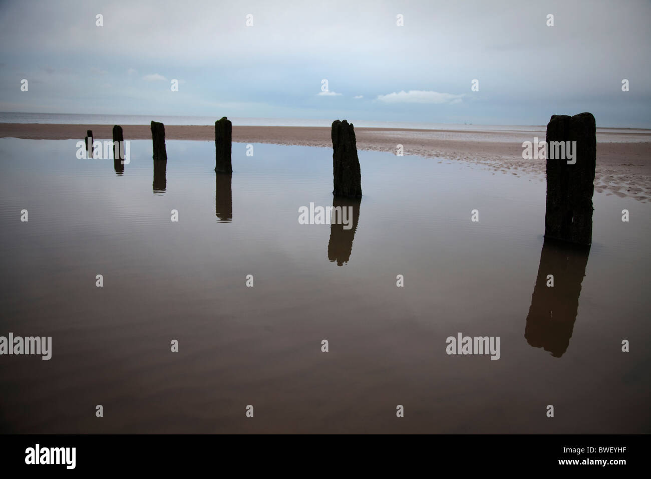 Reflections of sticks hi-res stock photography and images - Alamy
