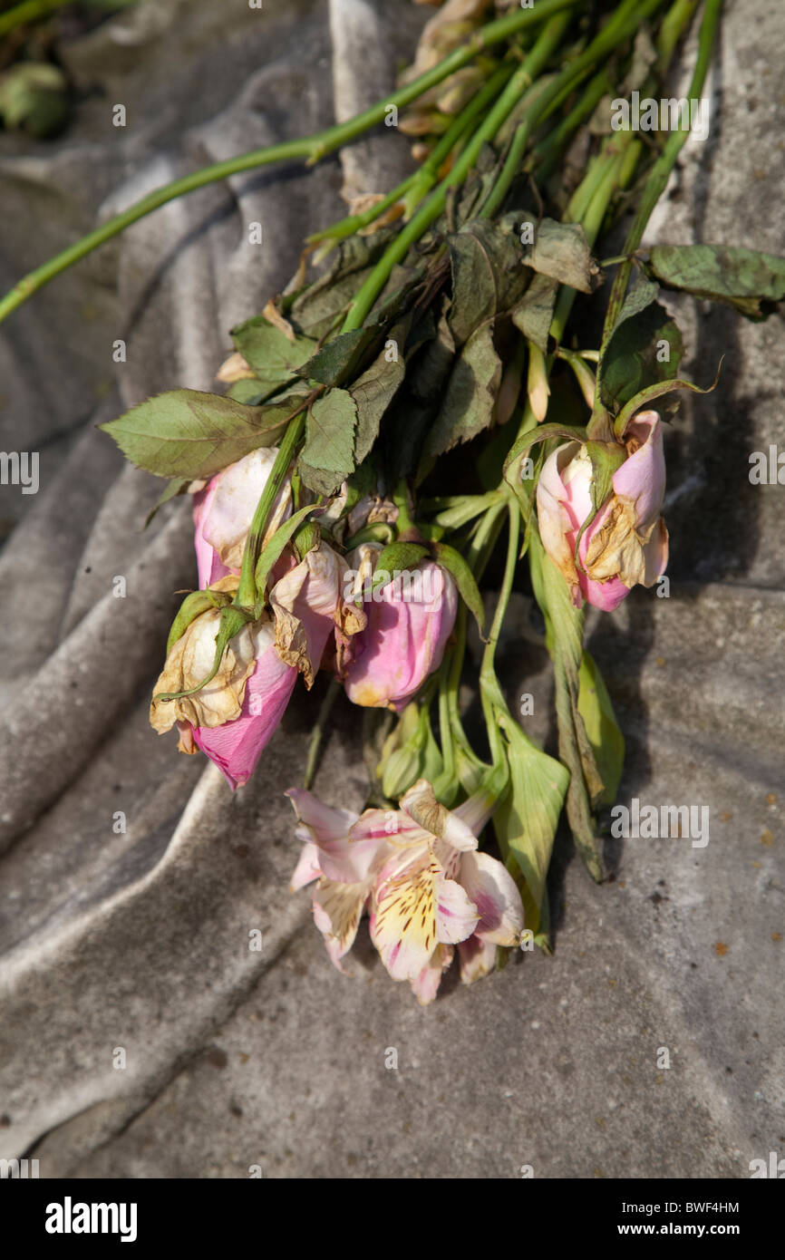 dying and wilting pink flowers on a stone gravestone memorial in a