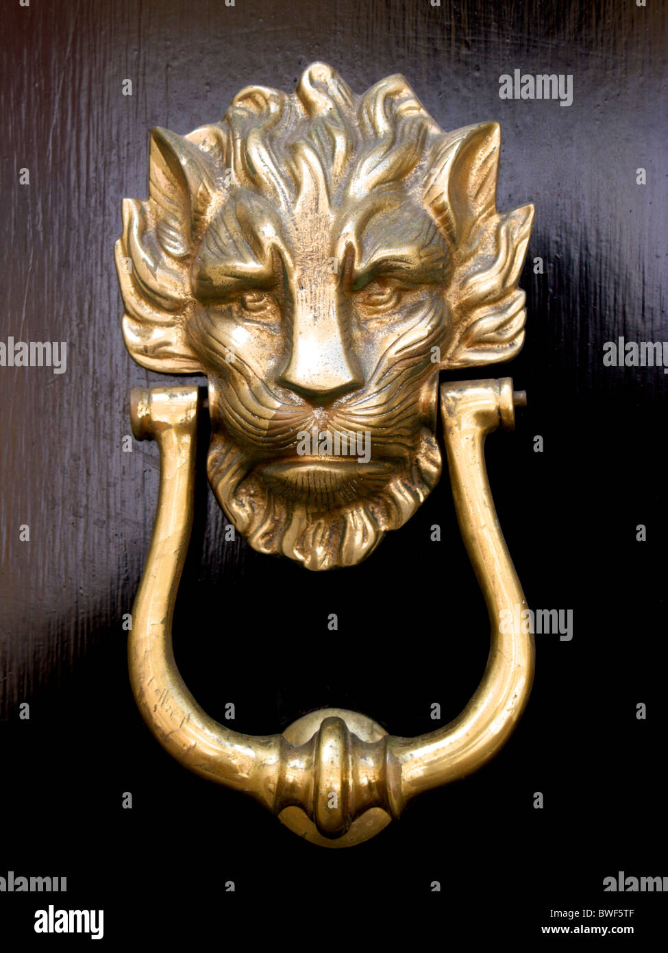 A brass door knocker in the shape of a lion's head on a black wooden door Stock Photo