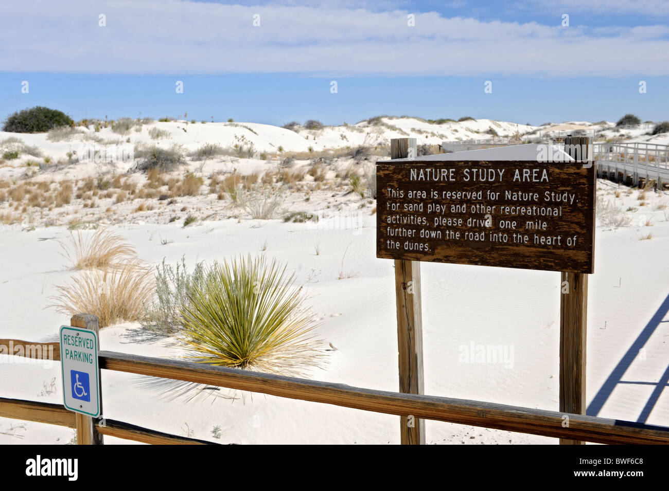 Nature Study Area White Sands National Monument New Mexico Stock Photo