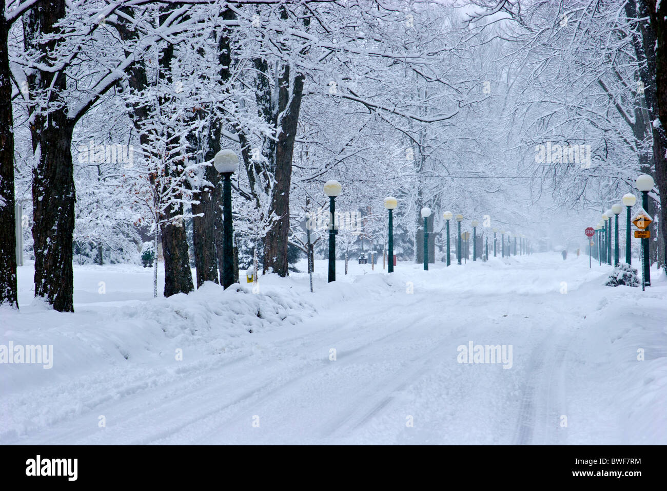 Cambridge Winter Stock Photos & Cambridge Winter Stock Images - Alamy