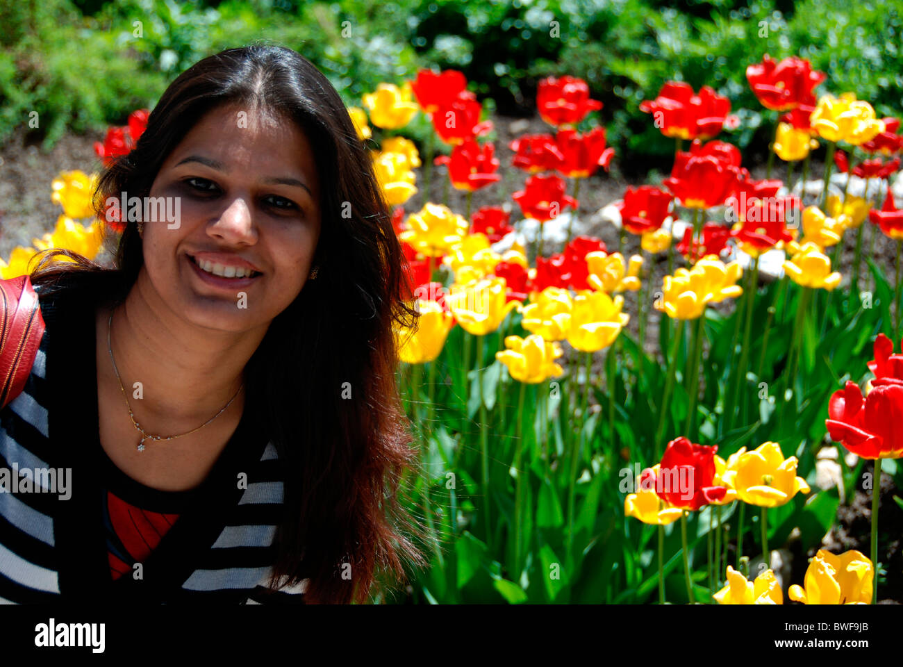 Indian tulip flower hi-res stock photography and images - Alamy