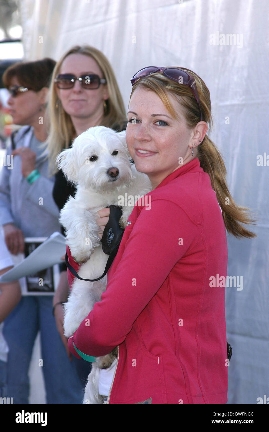 Animal Planet's 4th Annual Nuts for Mutts Dog Show Stock Photo - Alamy