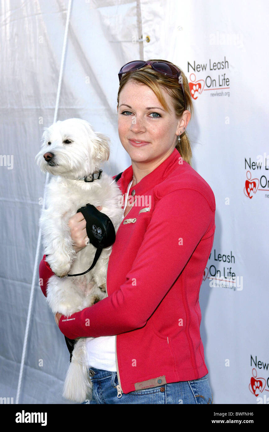 Animal 4th Annual Nuts for Mutts Dog Show Stock Photo Alamy