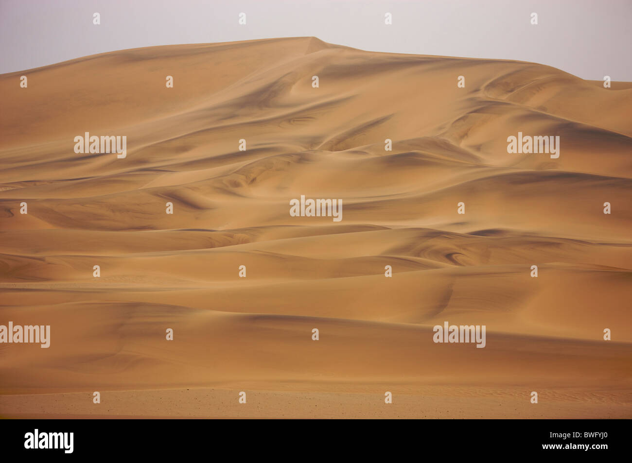 Wind shapes the patterns of huge dunes of Namib desert, Swakopmund area, Namibia Stock Photo