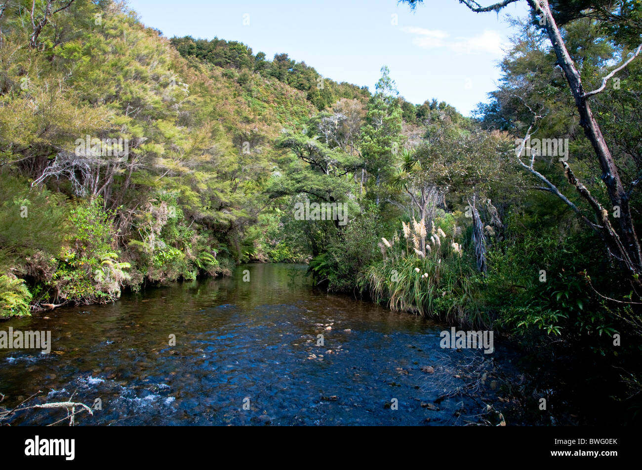 Waikoropupu Springs, (Pupu Springs), Golden Bay, North, South Island, New Zealand Stock Photo