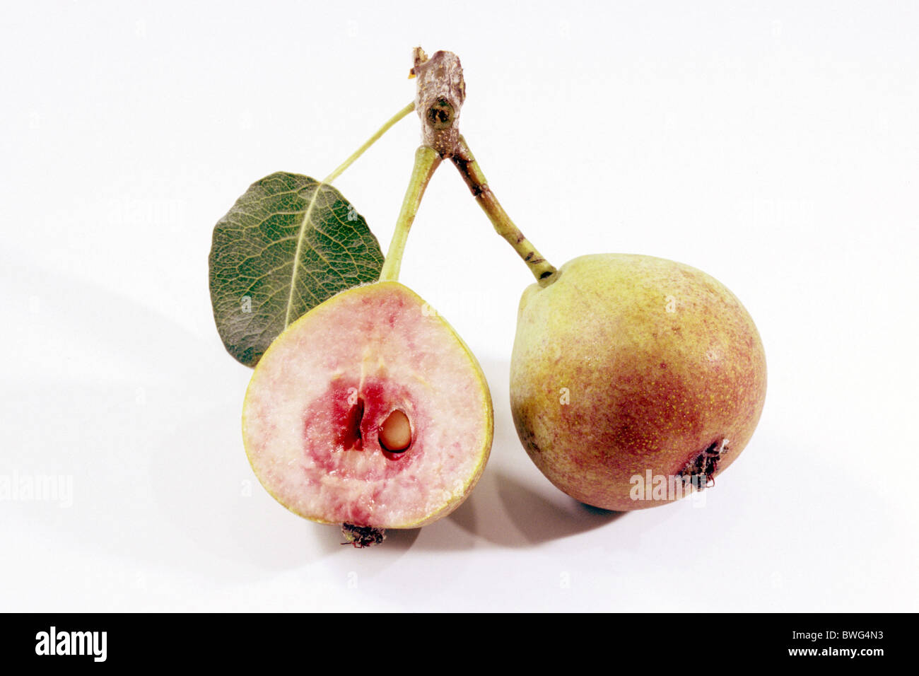Pear (Pyrus communis), variety: Blutbirne, whole and halved fruit, studio pciture. Stock Photo