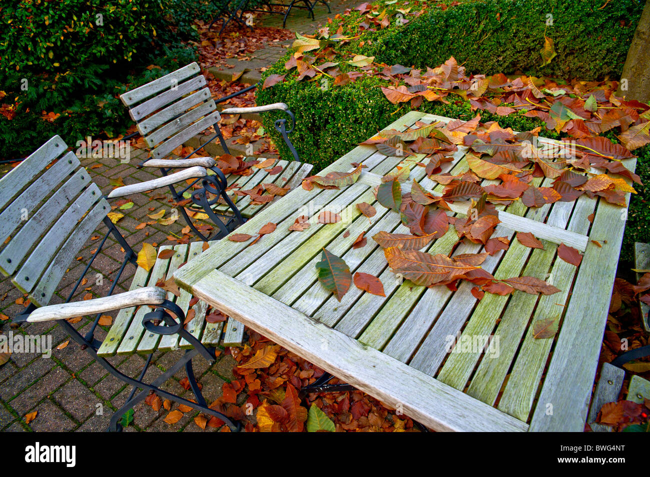 Table and chairs in a beer garden, covered with leaves; Tisch und Stühle in einem Biergarten, bedeckt mit Laub Stock Photo