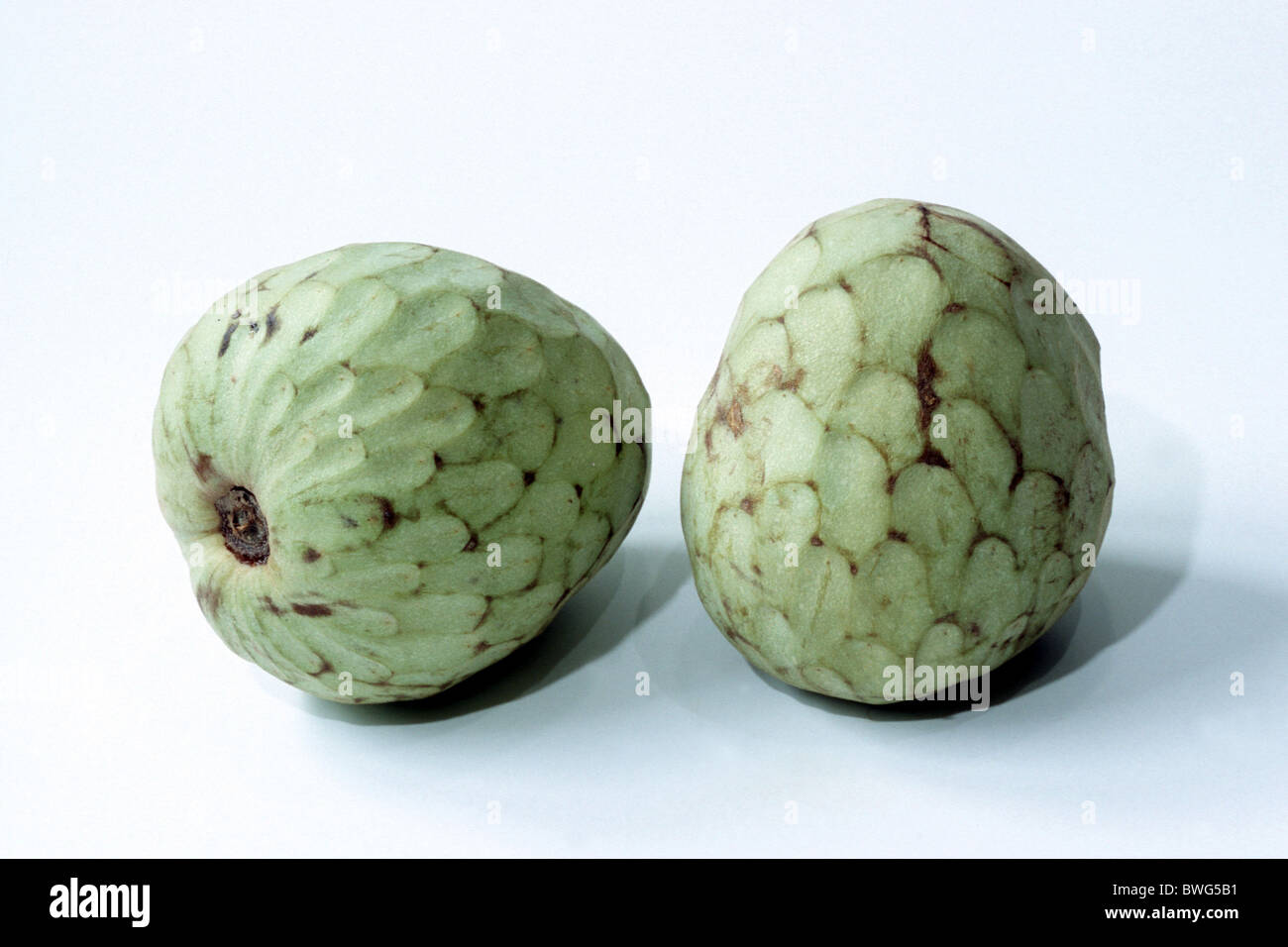 Cherimoya (Annona cherimola), two whole ripe fruit, studio picture. Stock Photo