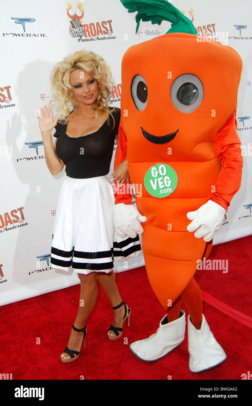 Comedy Central Celebrity Roast of Pamela Anderson Stock Photo Alamy
