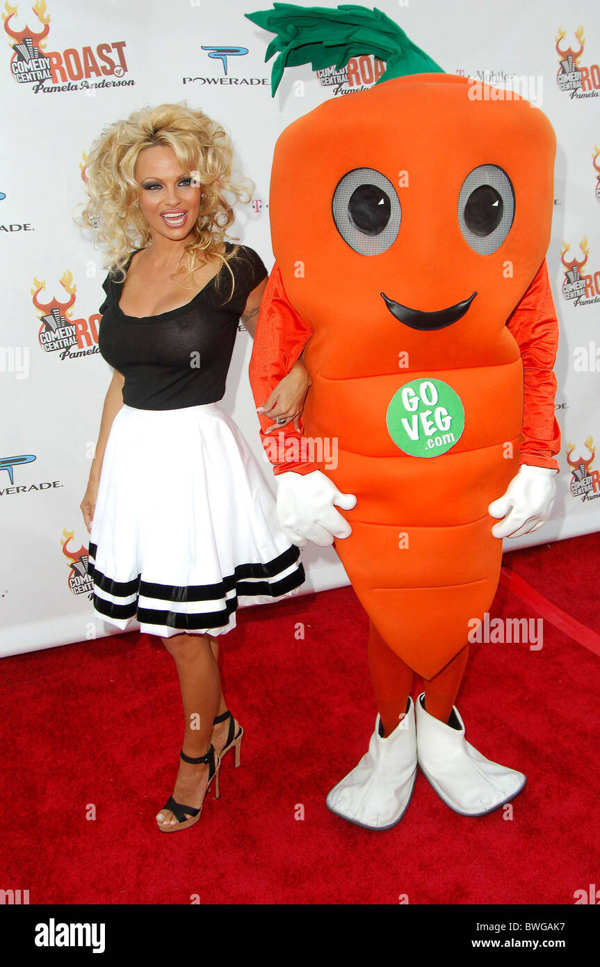 Comedy Central Celebrity Roast of Pamela Anderson Stock Photo Alamy