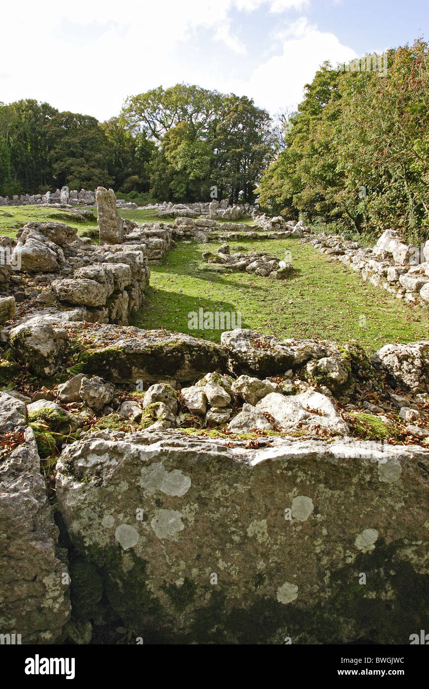 Remains of an Anglo-Roman village at Din Lligwy, Isle of Anglesey Stock Photo