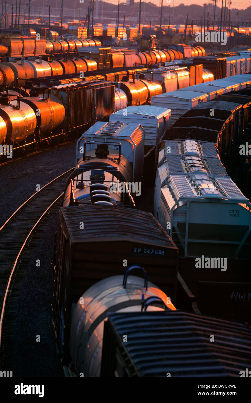 Lots of railroad freight cars reflect the late afternoon sun in a large yard in Chicago, IL. Stock Photo