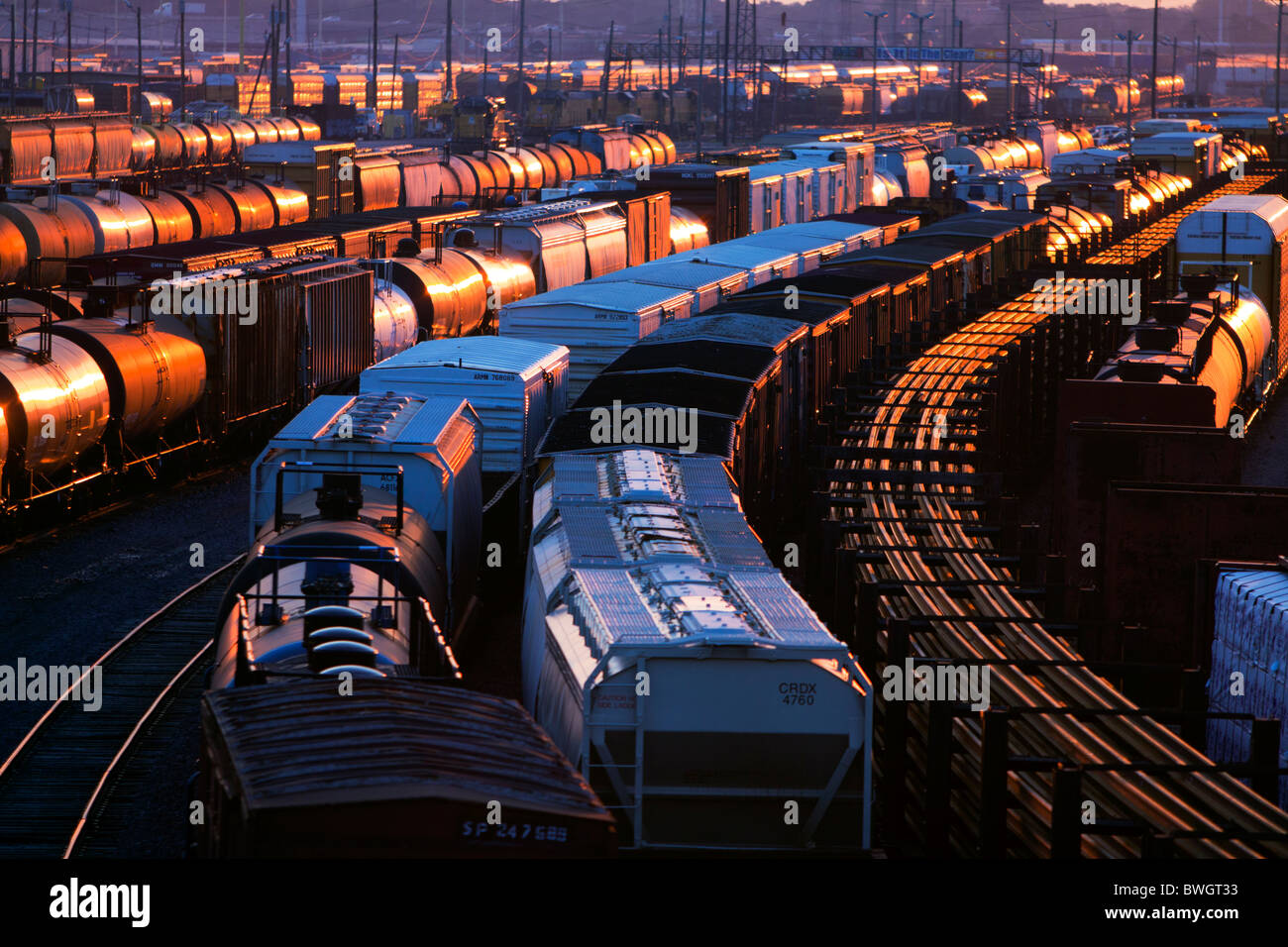 Lots of freight cars reflect the late evening sun in a railroad yard in Chicago, IL. Stock Photo