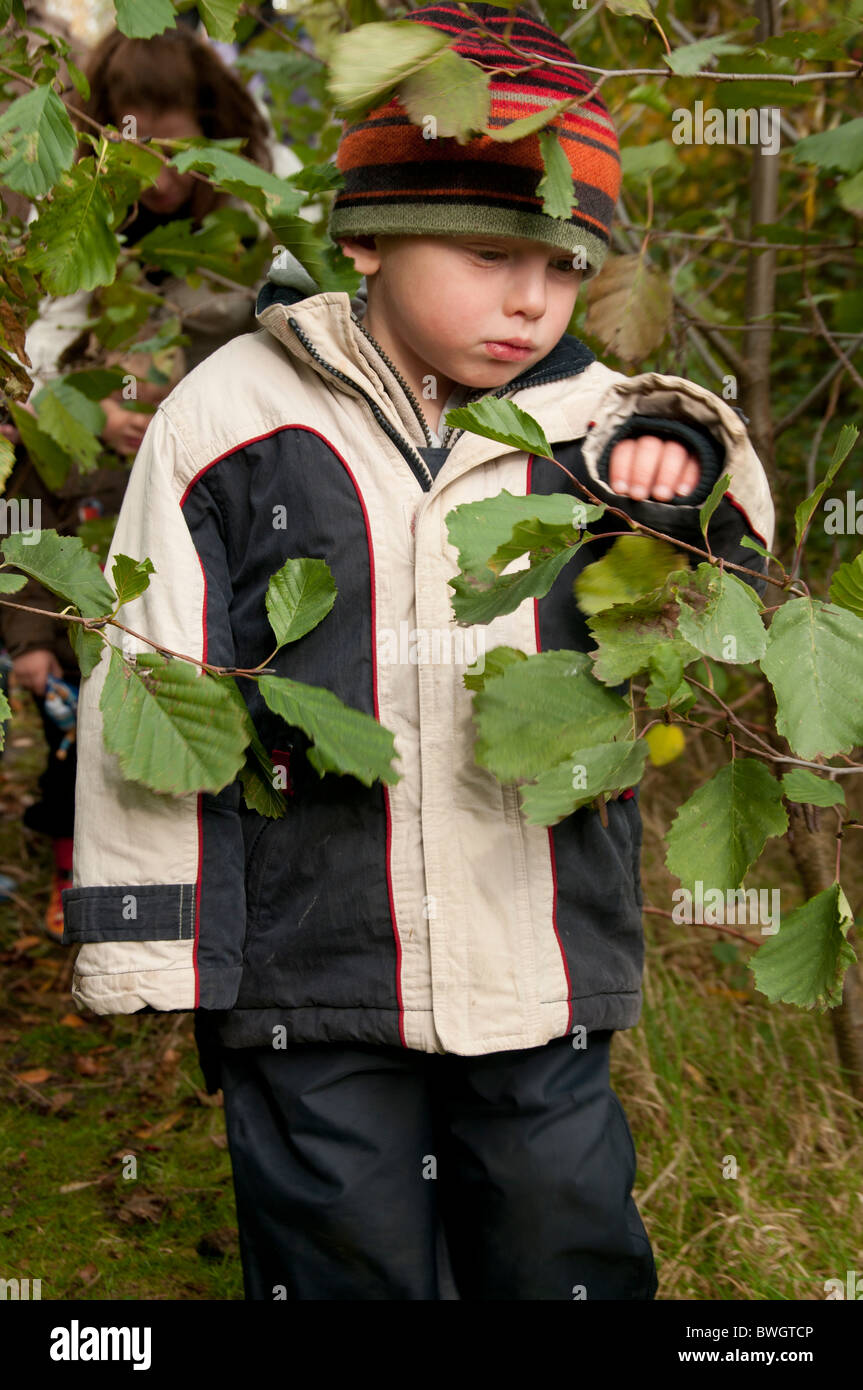 Boy on nature walk, RSPB Conwy Stock Photo