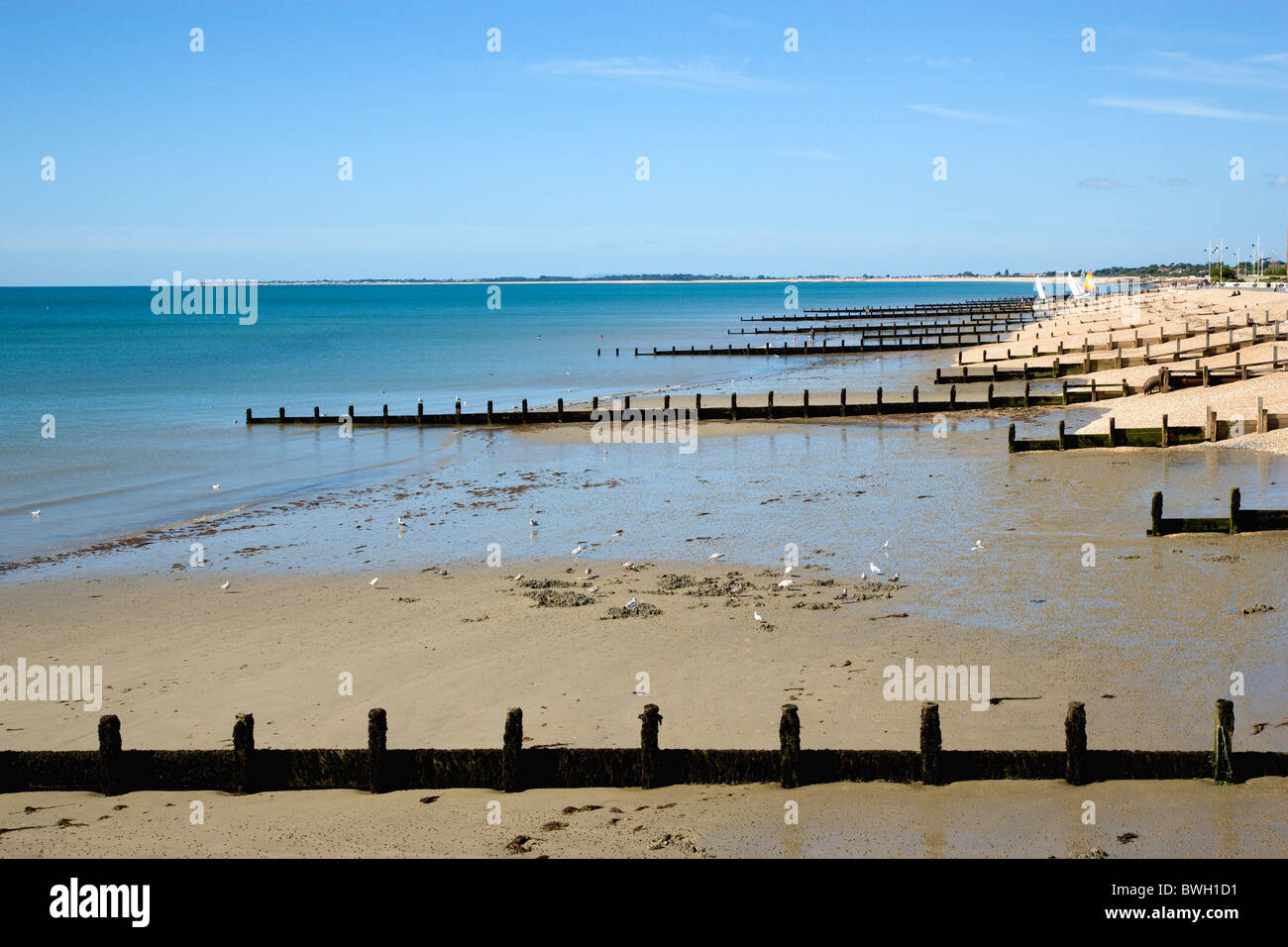 England West Sussex Bognor Regis Wooden groynes at low tide used as sea defences against erosion of the shingle pebble beach. Stock Photo