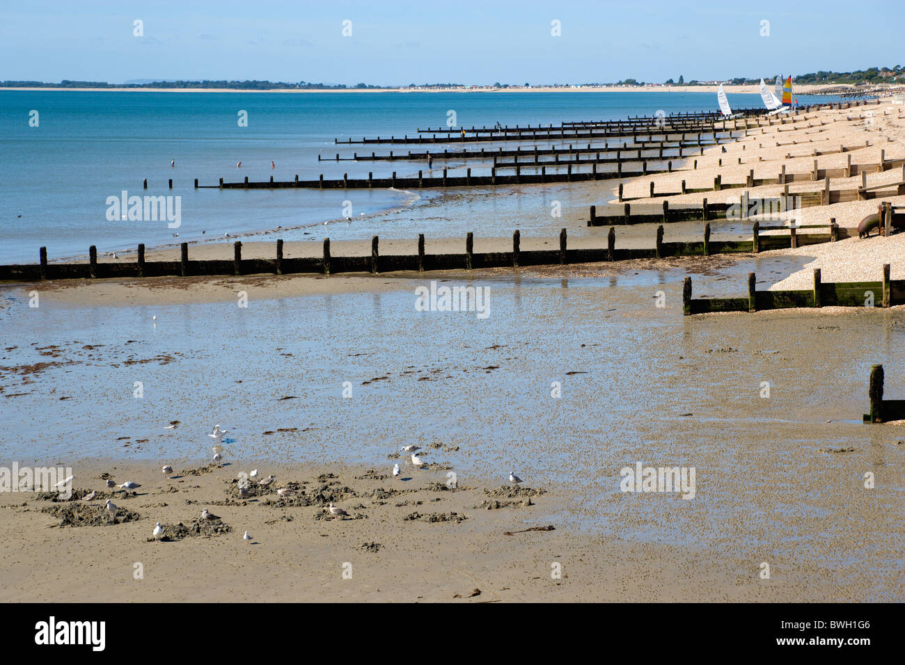 England, West Sussex, Bognor Regis, Wooden groynes at low tide used as sea defences against erosion of the shingle pebble beach. Stock Photo