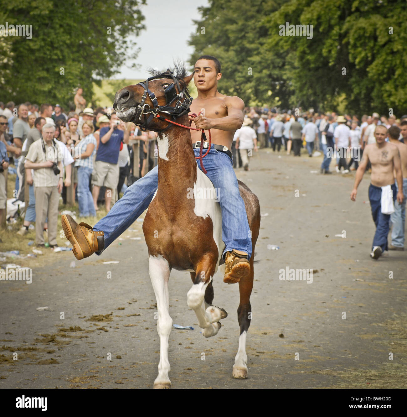 Black man on horse hi-res stock photography and images - Alamy