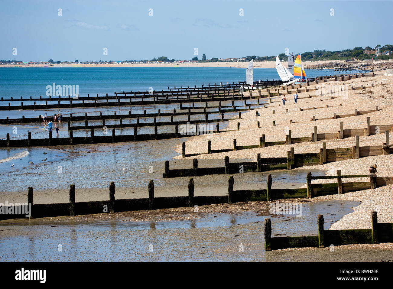 England, West Sussex, Bognor Regis, Wooden groynes at low tide used as sea defences against erosion of the shingle pebble beach Stock Photo