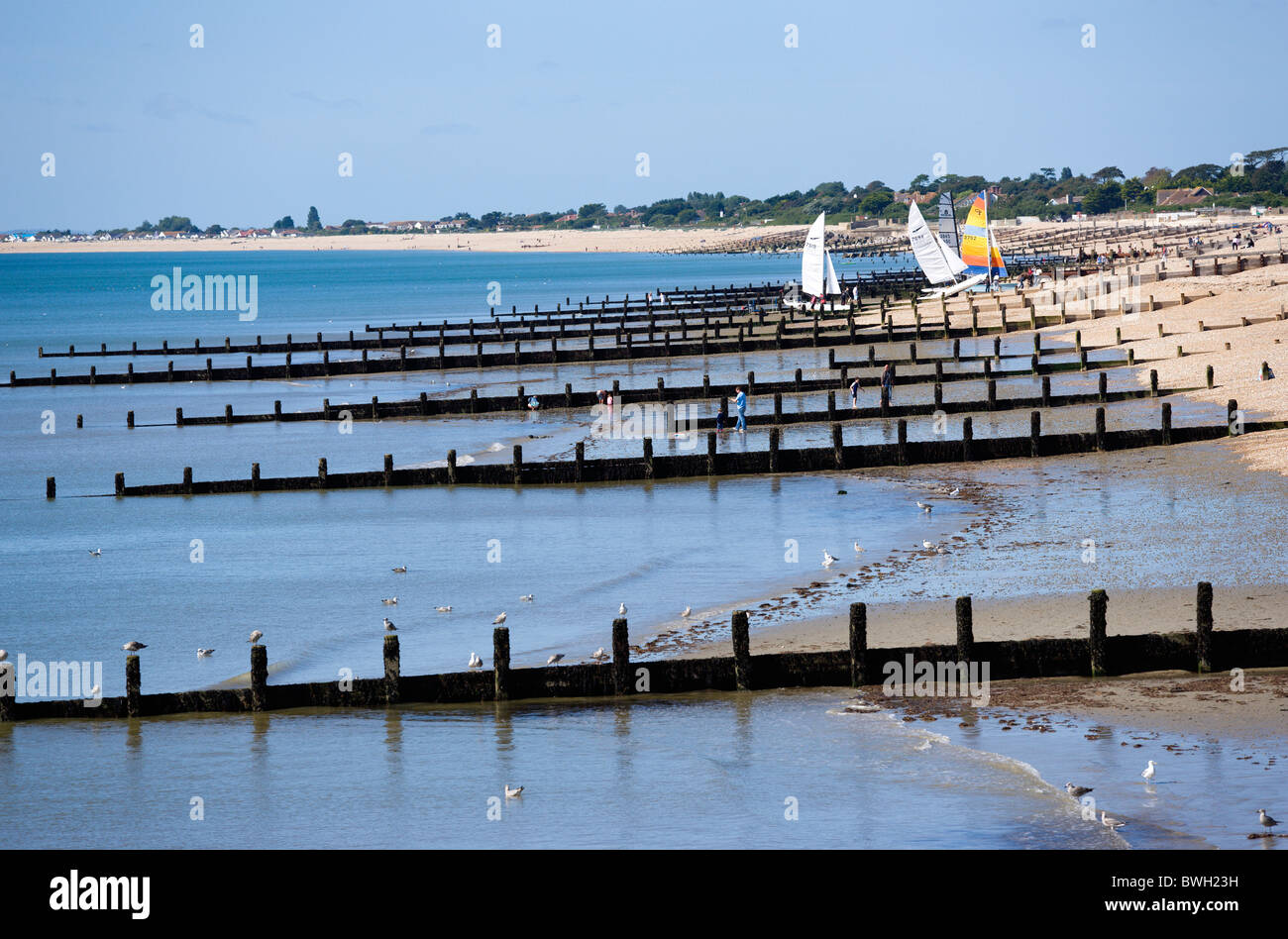 England West Sussex Bognor Regis Wooden groynes at low tide used as sea defences against erosion of the shingle pebble beach Stock Photo